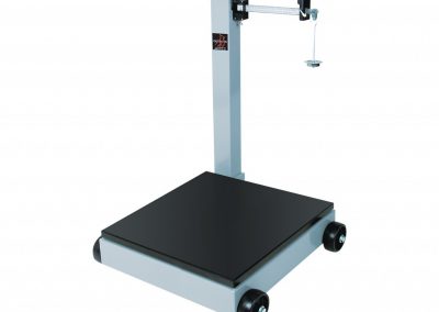 954F Portable Mechanical Scale