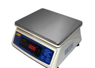Washdown Checkweighing Toploading Scale