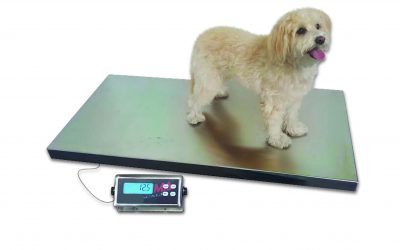 PS-922 Vet Scale