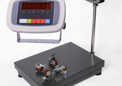 PSI BW1000 Wheel bench scale