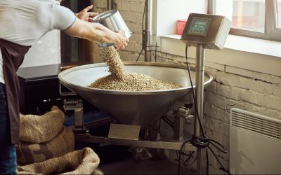 The Ultimate Guide to Scale Repair and Maintenance for Industry Leaders