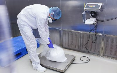 Choosing the Right Industrial Scale – What to Consider Before You Buy