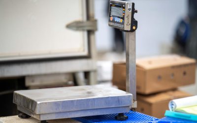 Troubleshooting Common Scale Errors: When to Call a Professional